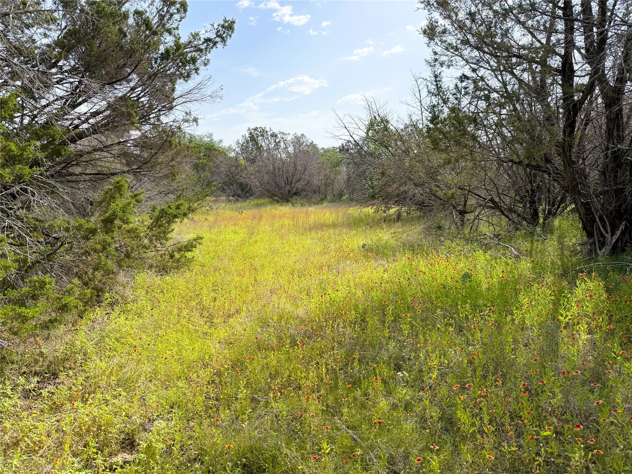 Tbd 2010 Glen Rose TX 76043