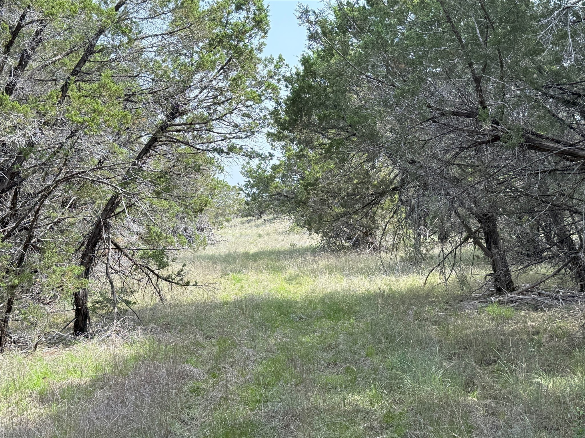 Tbd 2010 Glen Rose TX 76043