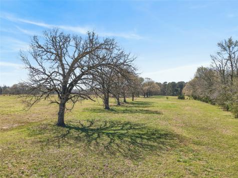 30 +/- Ac Cr 4007 New Boston TX 75570