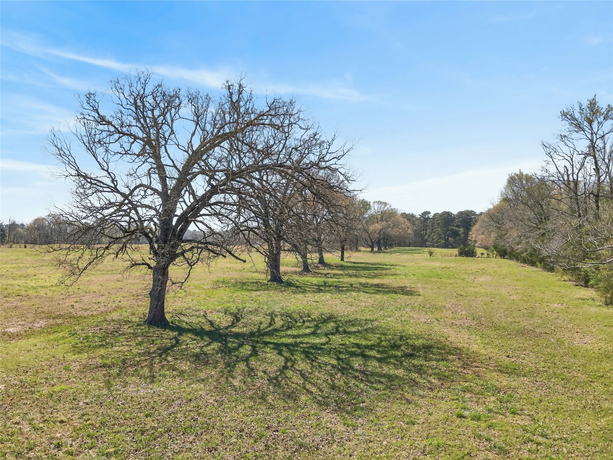 30 +/- Ac Cr 4007 New Boston TX 75570