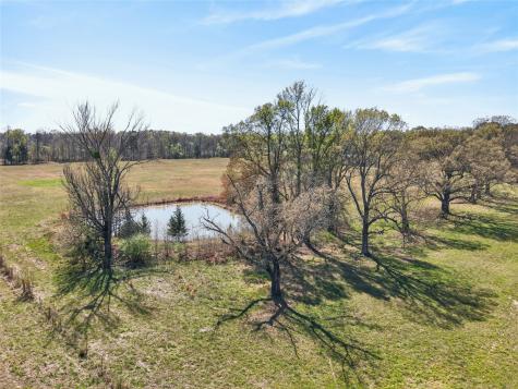 30 +/- Ac Cr 4007 New Boston TX 75570