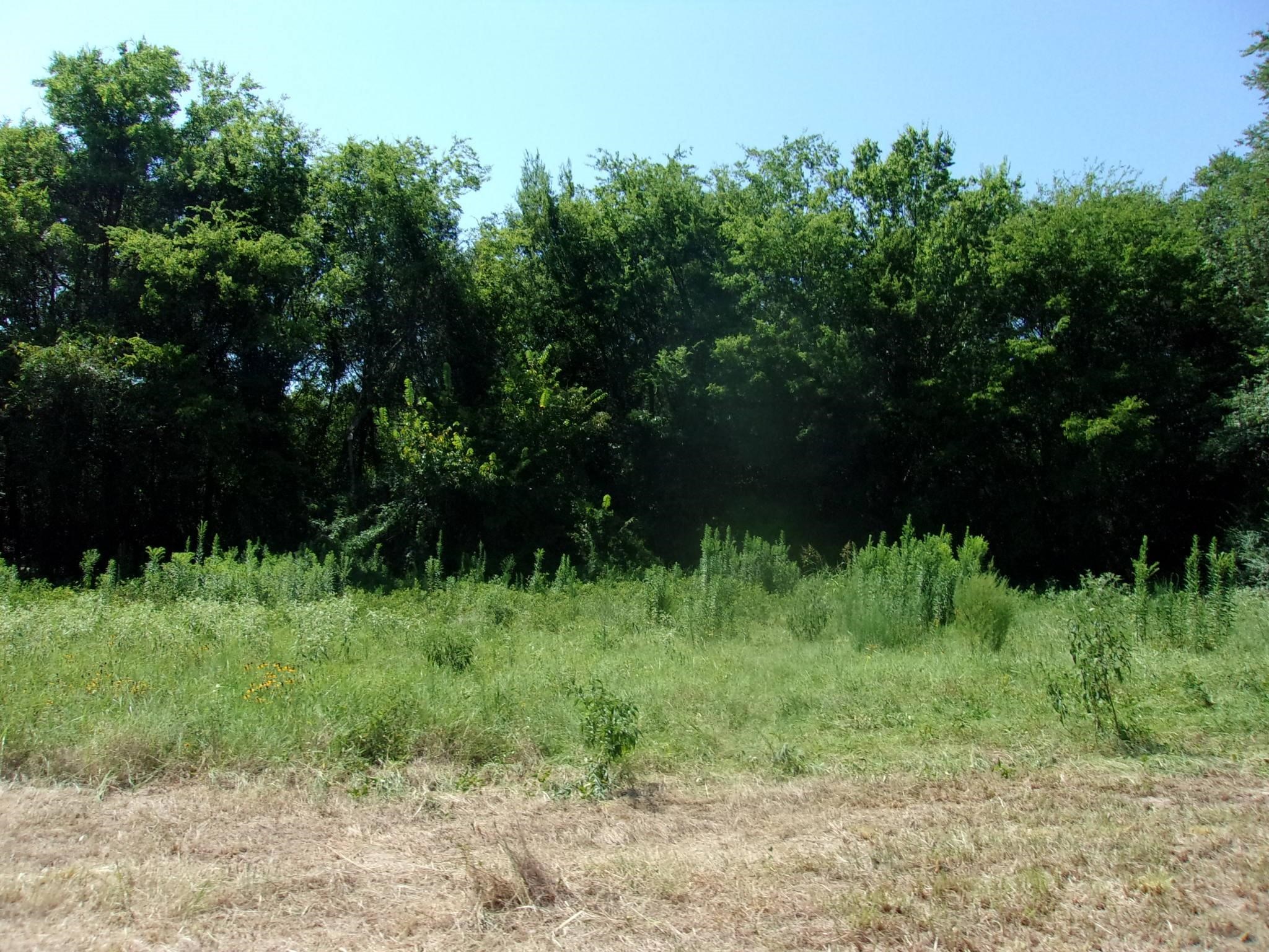 2846 County Road 2415 Pickton TX 75471
