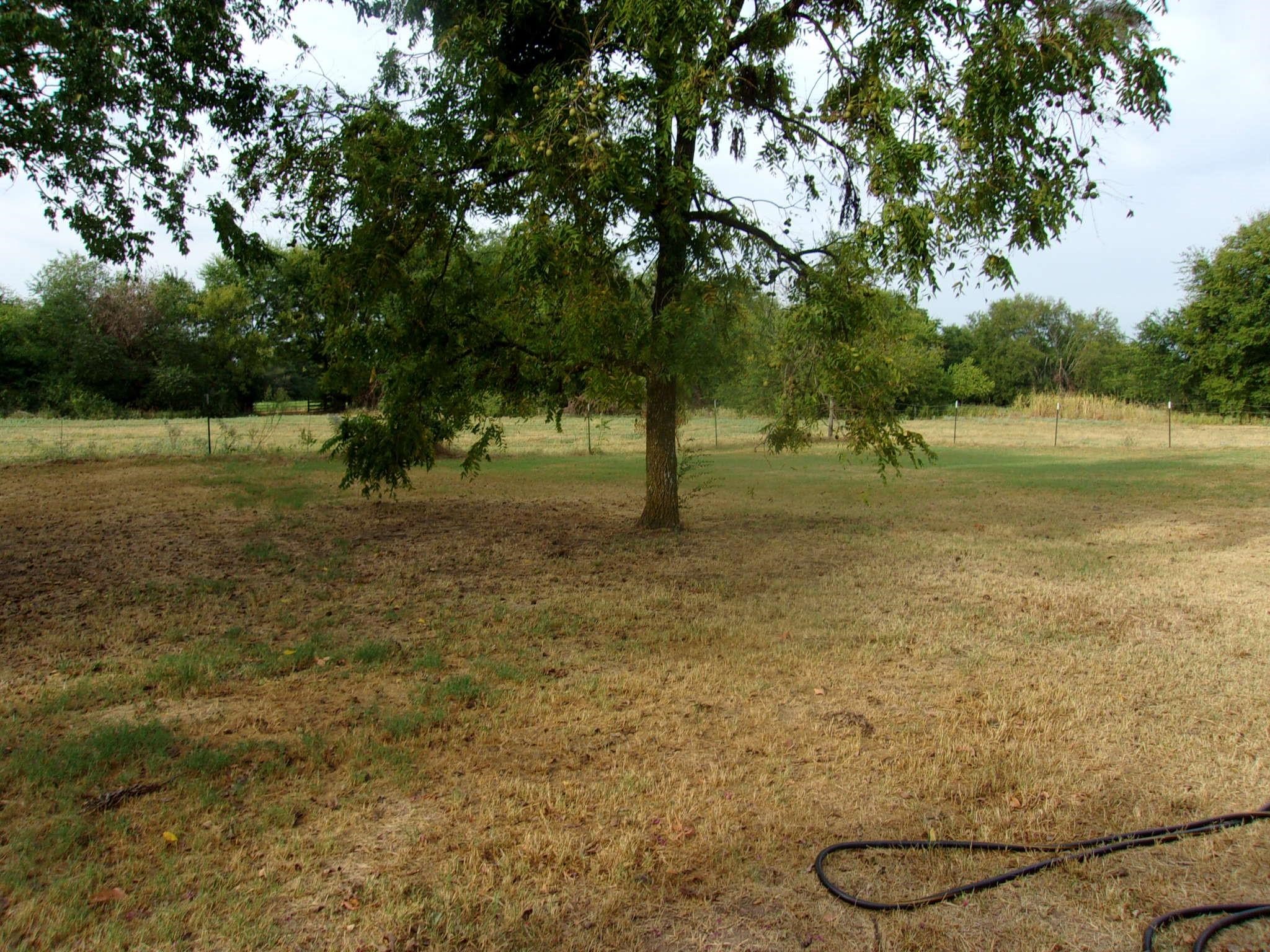 2846 County Road 2415 Pickton TX 75471