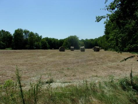 2846 County Road 2415 Pickton TX 75471