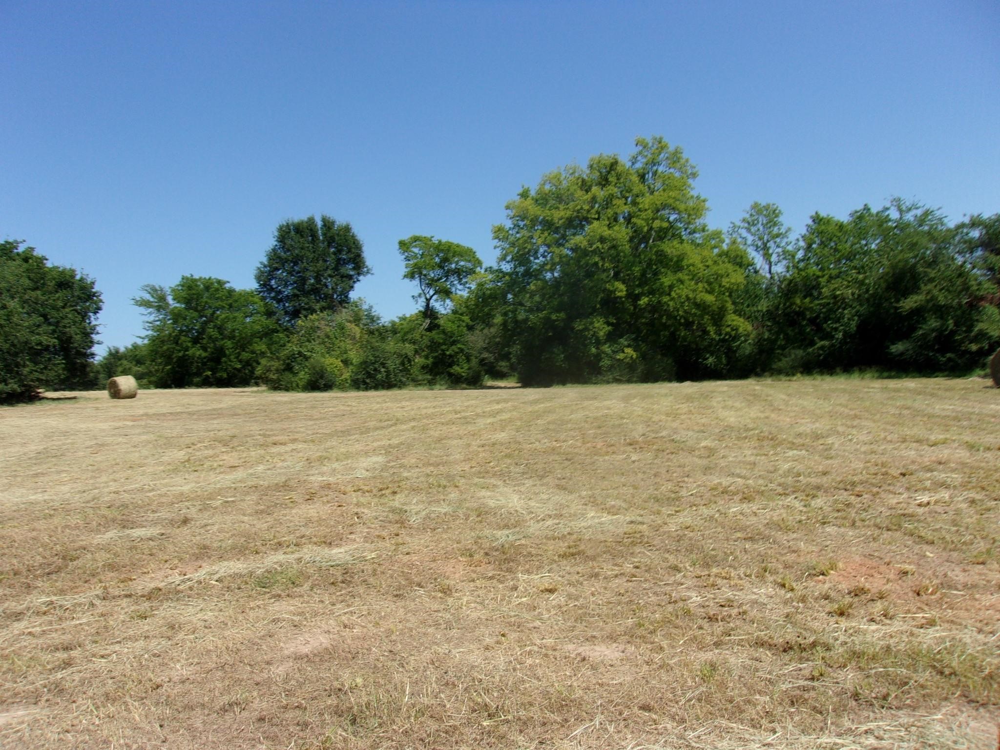 2846 County Road 2415 Pickton TX 75471
