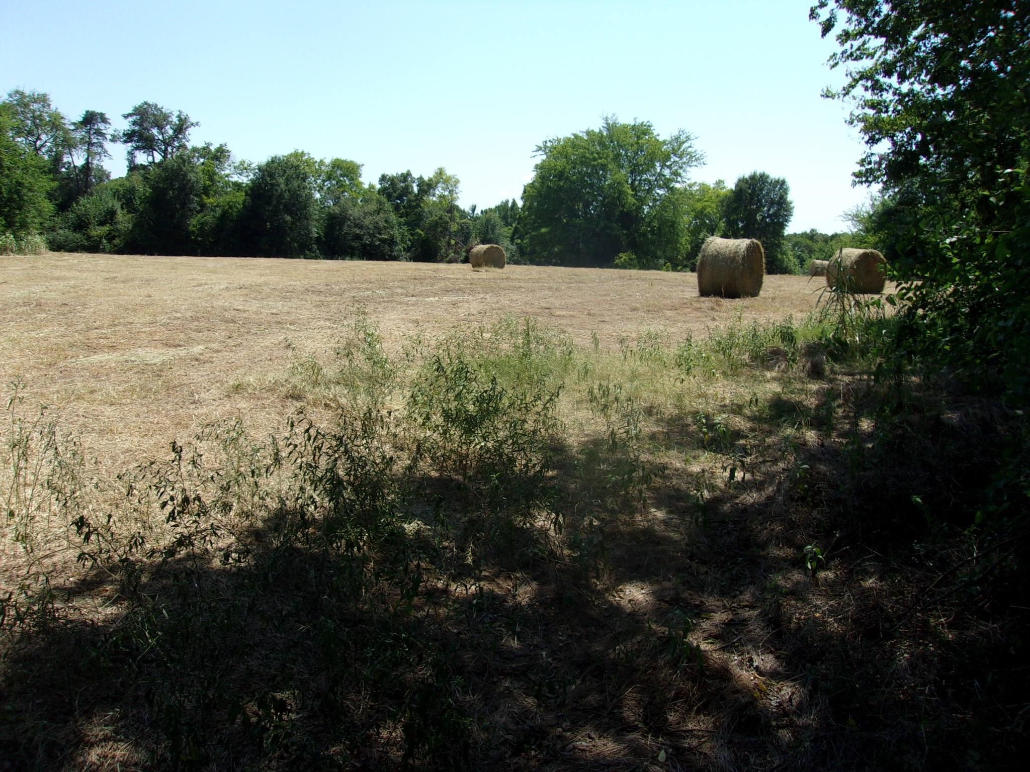 2846 County Road 2415 Pickton TX 75471