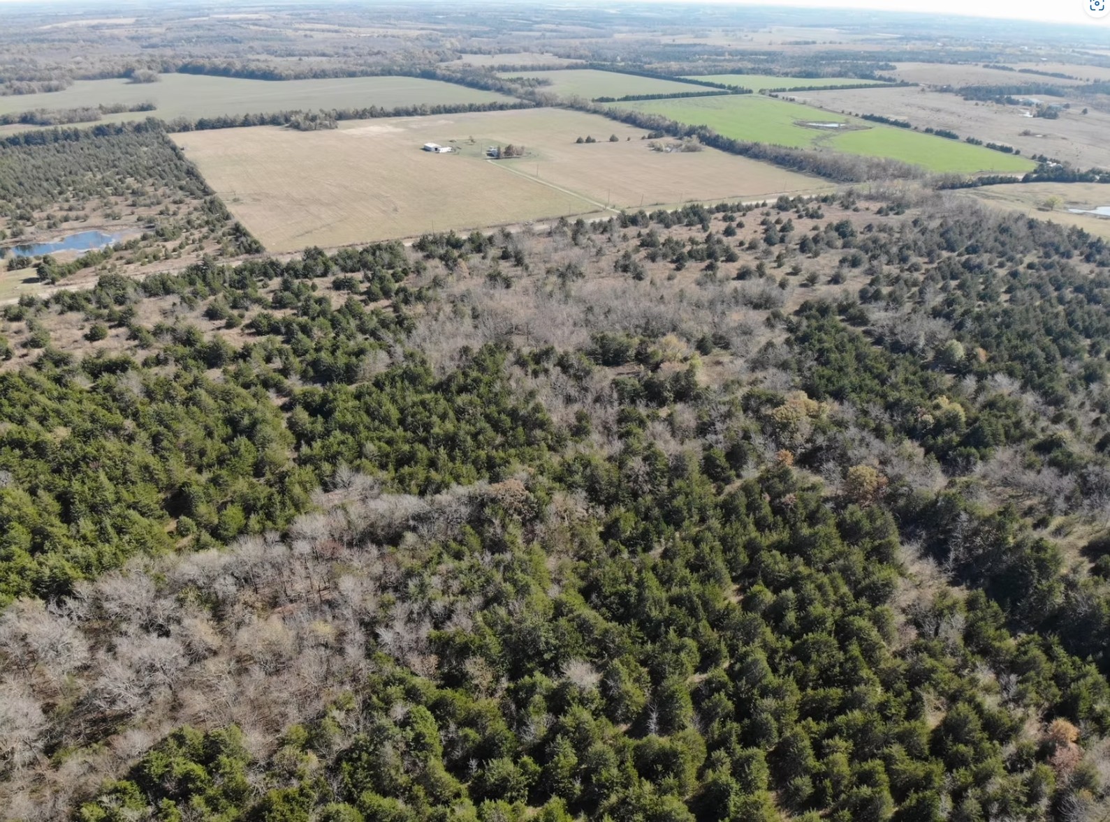 Tract 18 County Road 2960 Honey Grove TX 75446