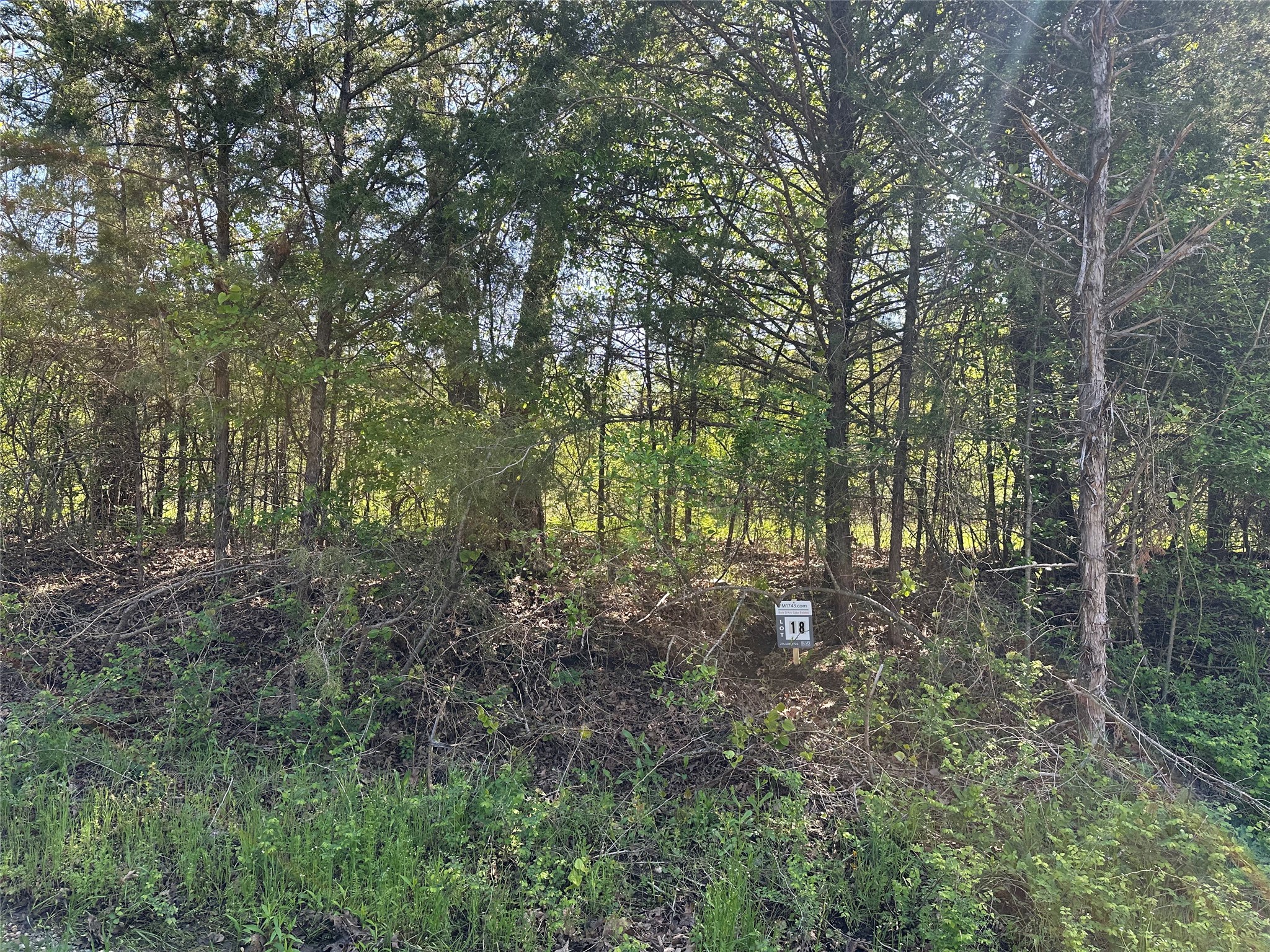 Tract 18 County Road 2960 Honey Grove TX 75446