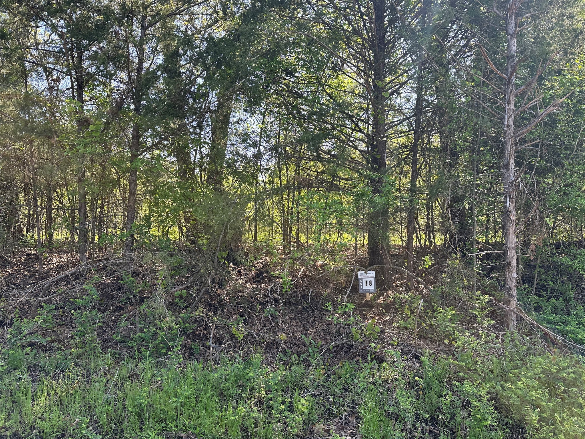 Tract 18 County Road 2960 Honey Grove TX 75446
