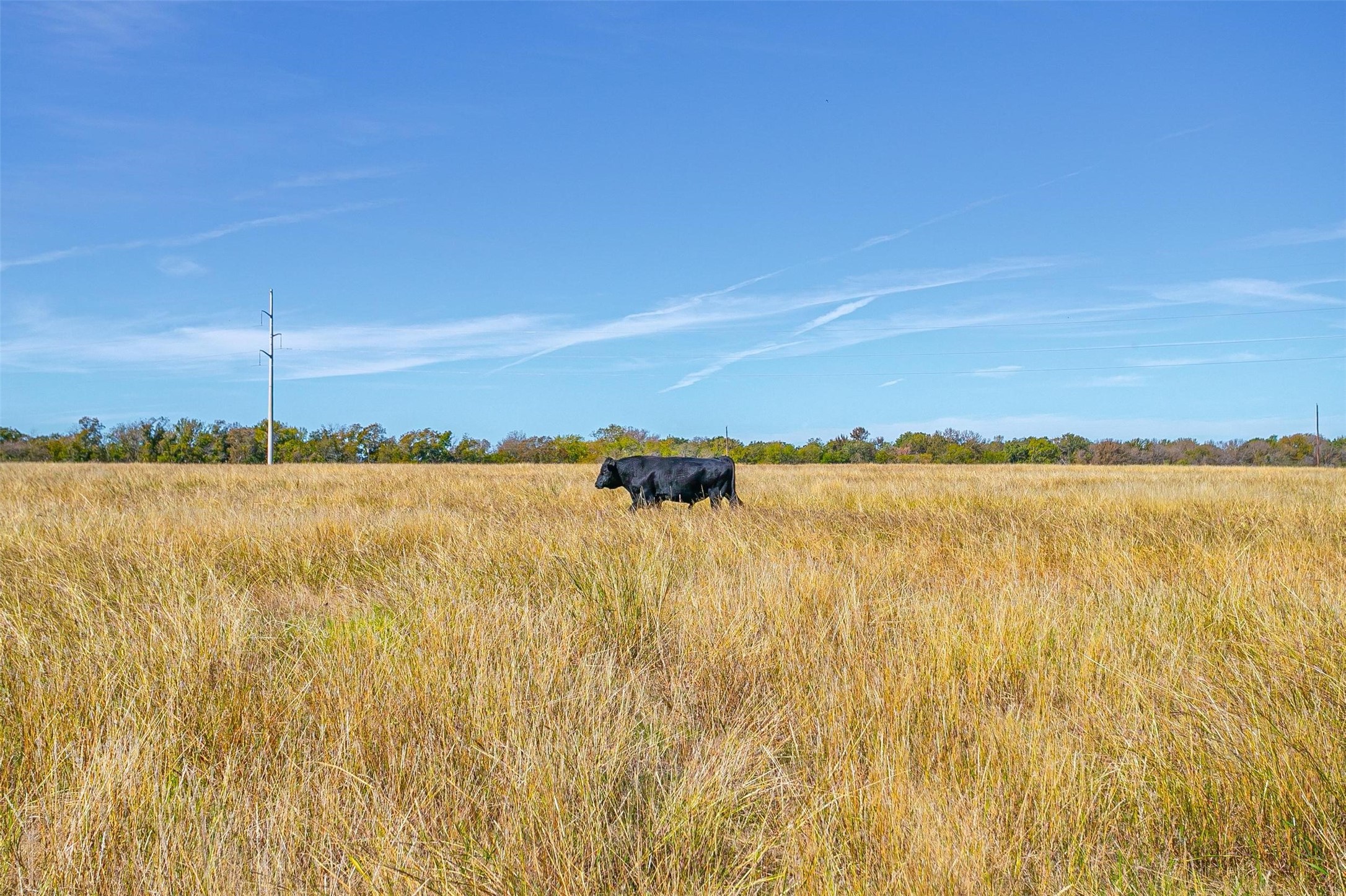 Tract 3 County Road 410 Road Alvarado TX 76009