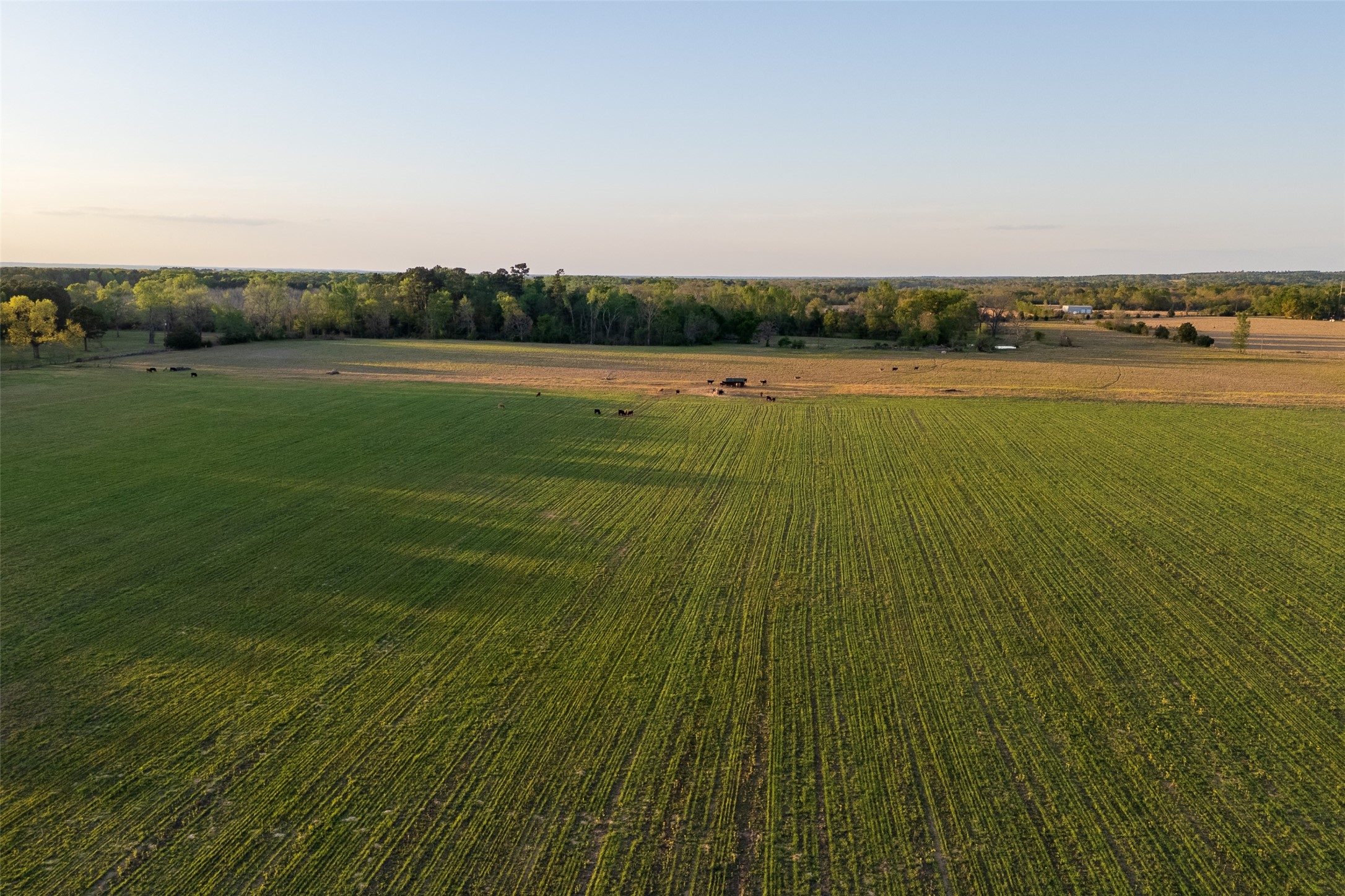 00 County Road 117 Elkhart TX 75839