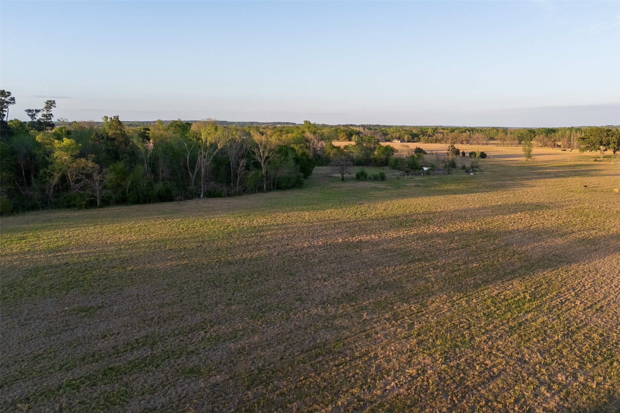 00 County Road 117 Elkhart TX 75839