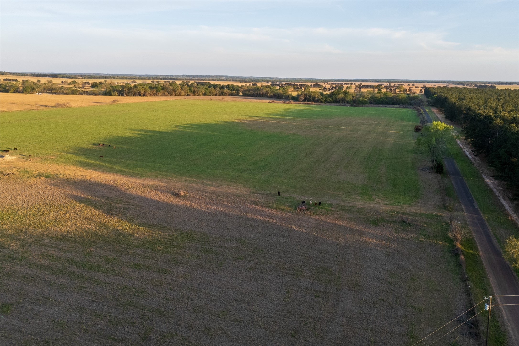 00 County Road 117 Elkhart TX 75839