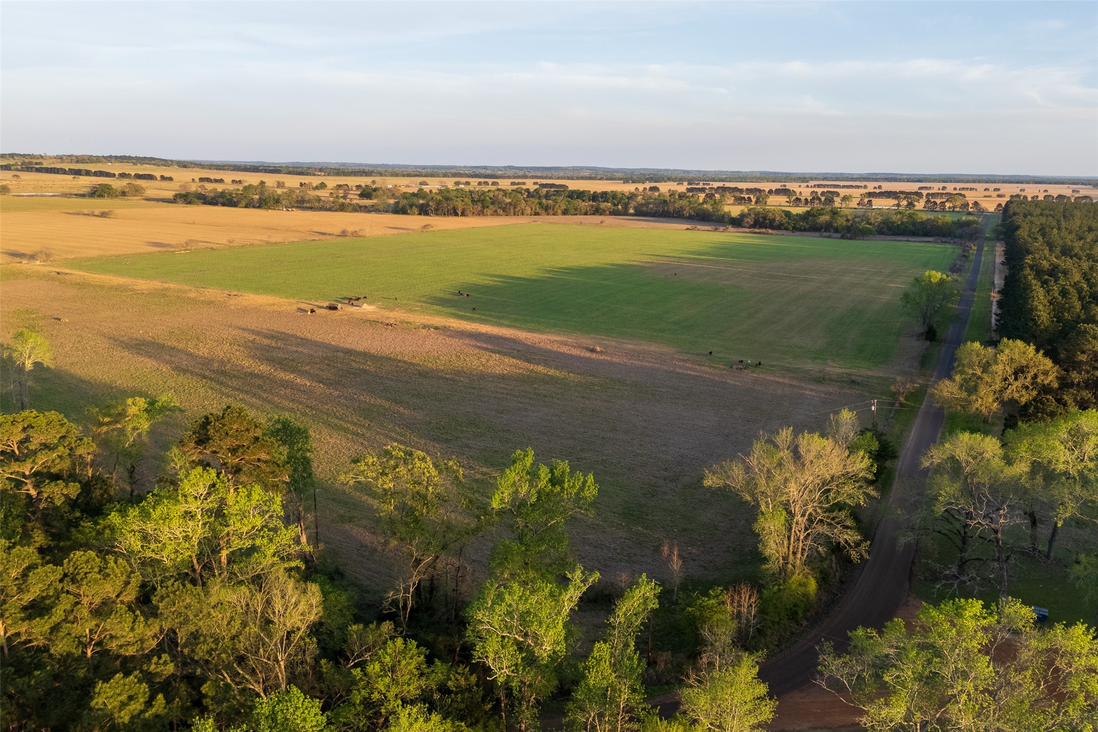00 County Road 117 Elkhart TX 75839