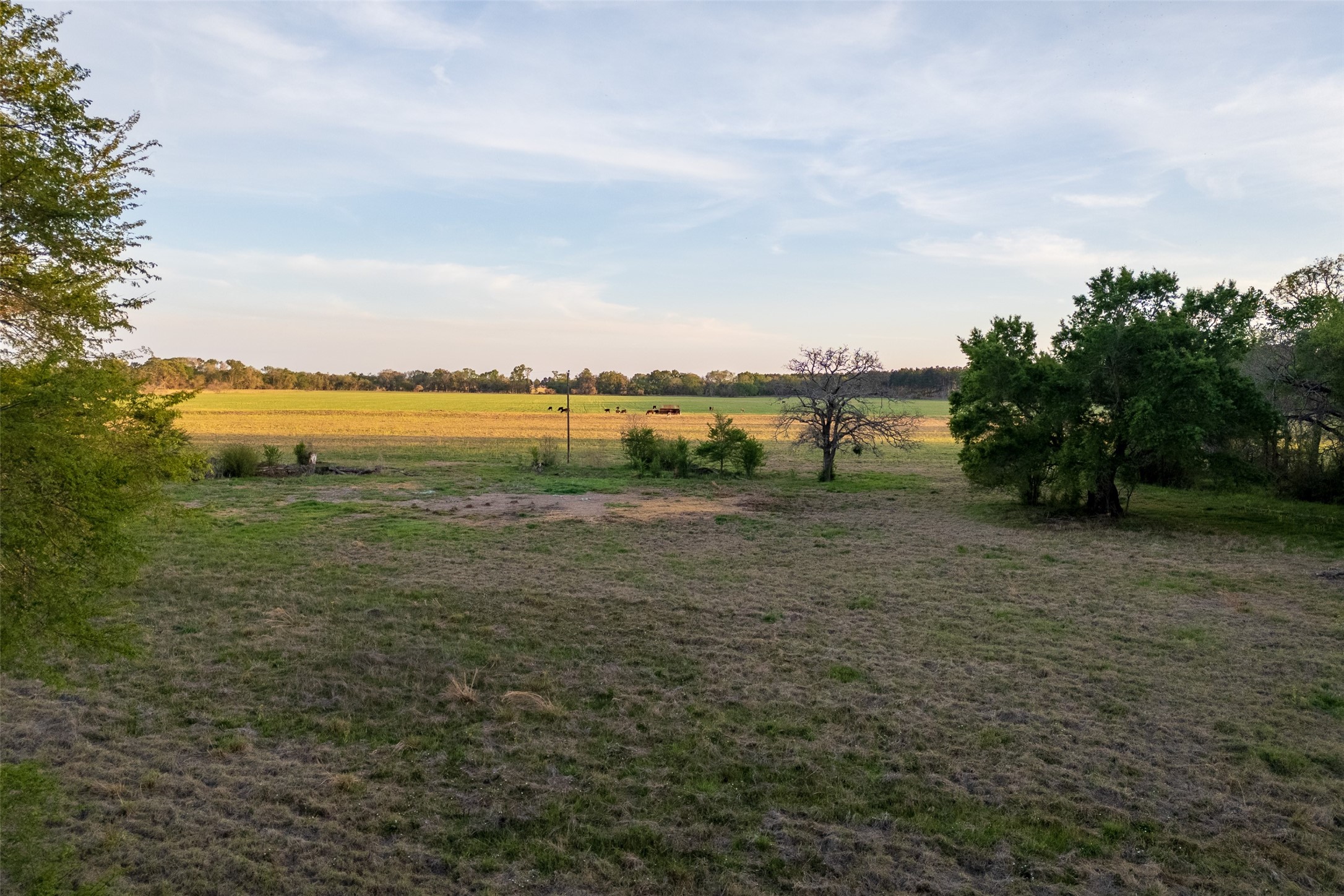 00 County Road 117 Elkhart TX 75839