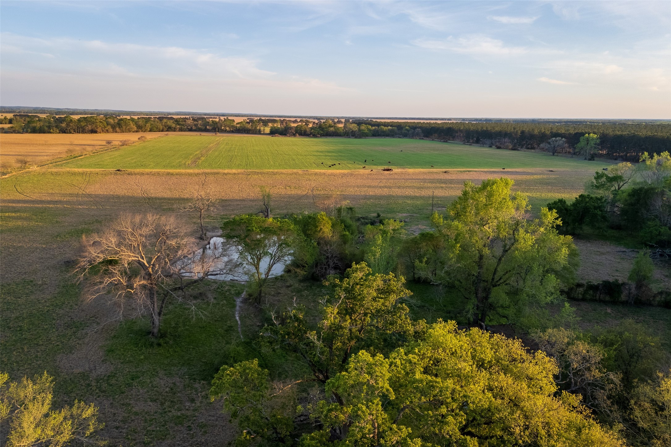 00 County Road 117 Elkhart TX 75839