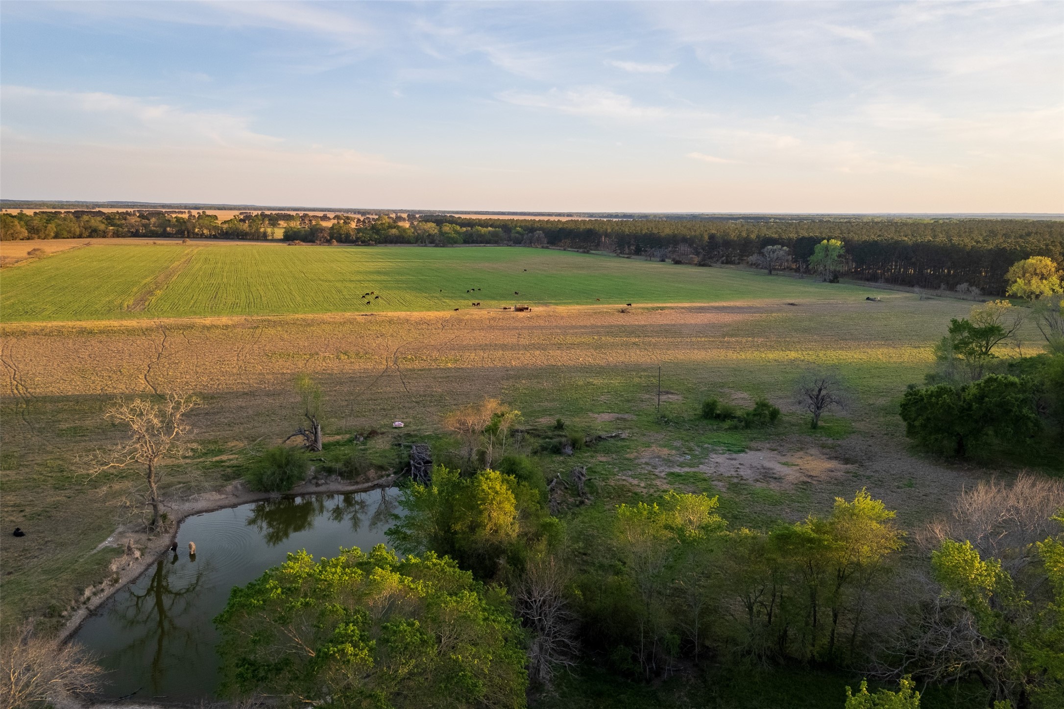 00 County Road 117 Elkhart TX 75839