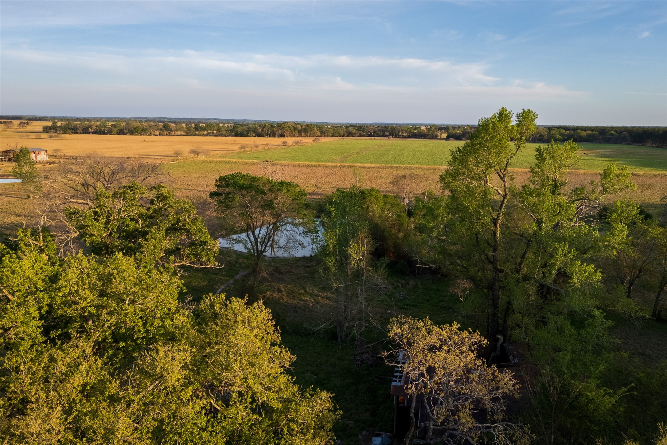 00 County Road 117 Elkhart TX 75839