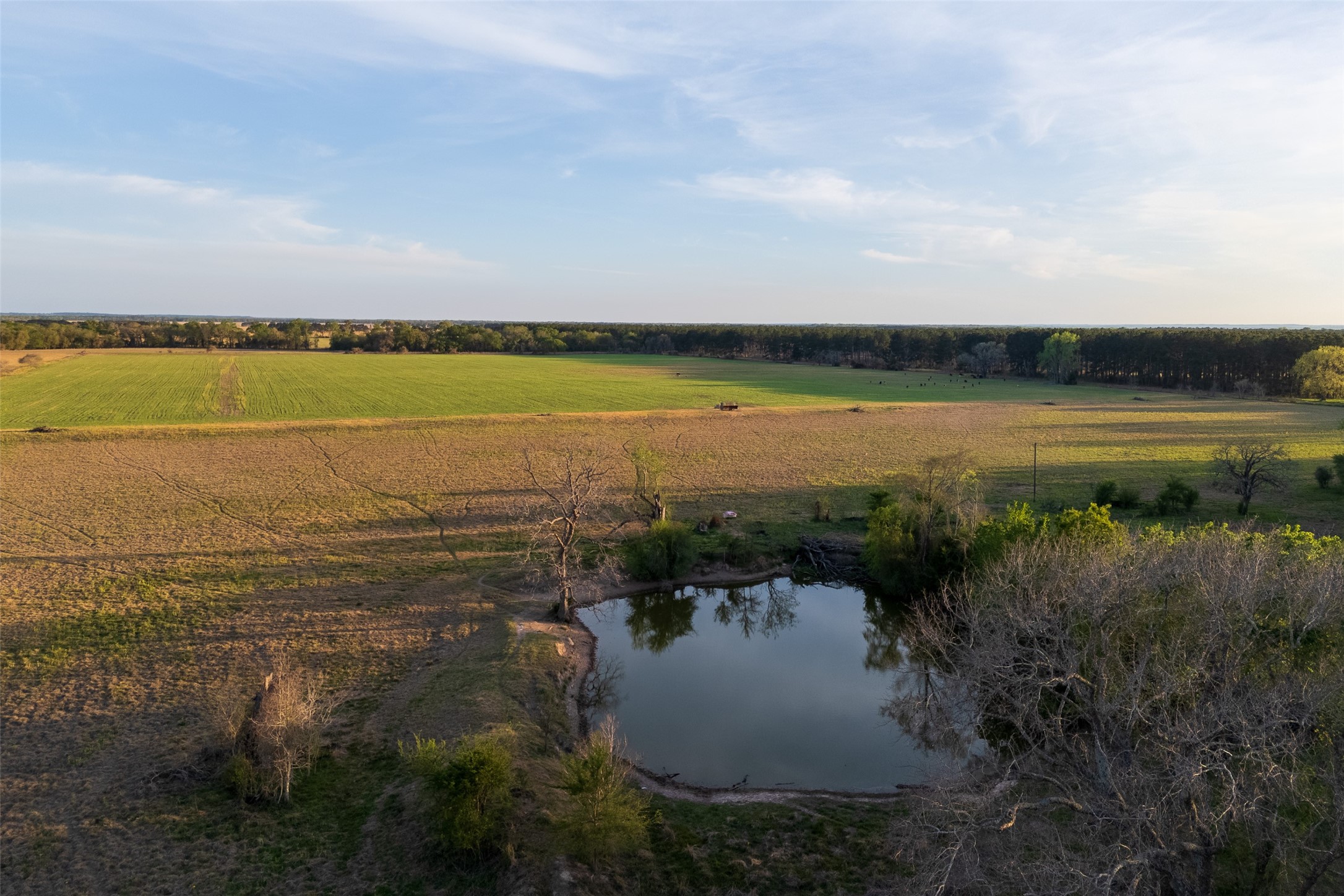 00 County Road 117 Elkhart TX 75839