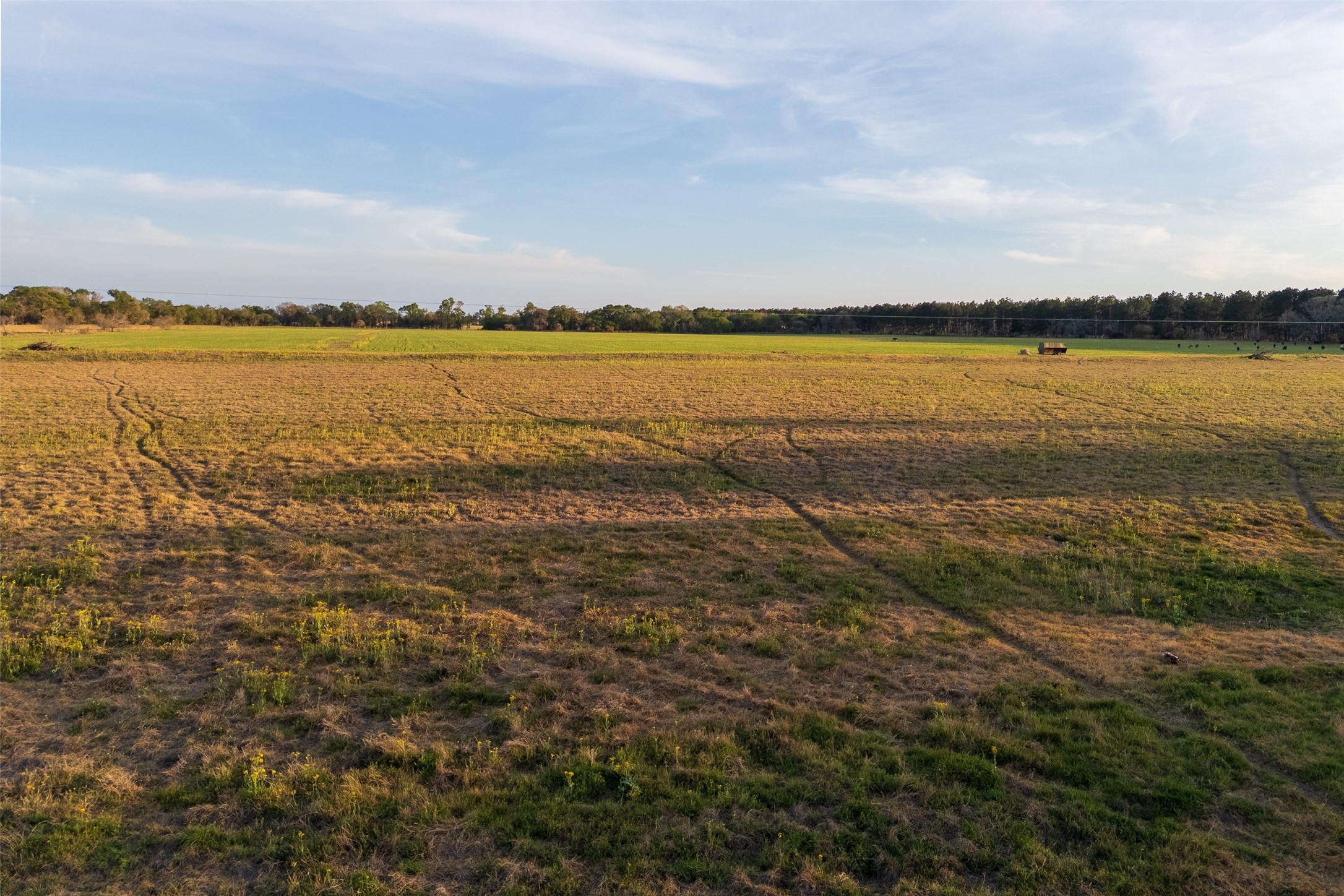 00 County Road 117 Elkhart TX 75839
