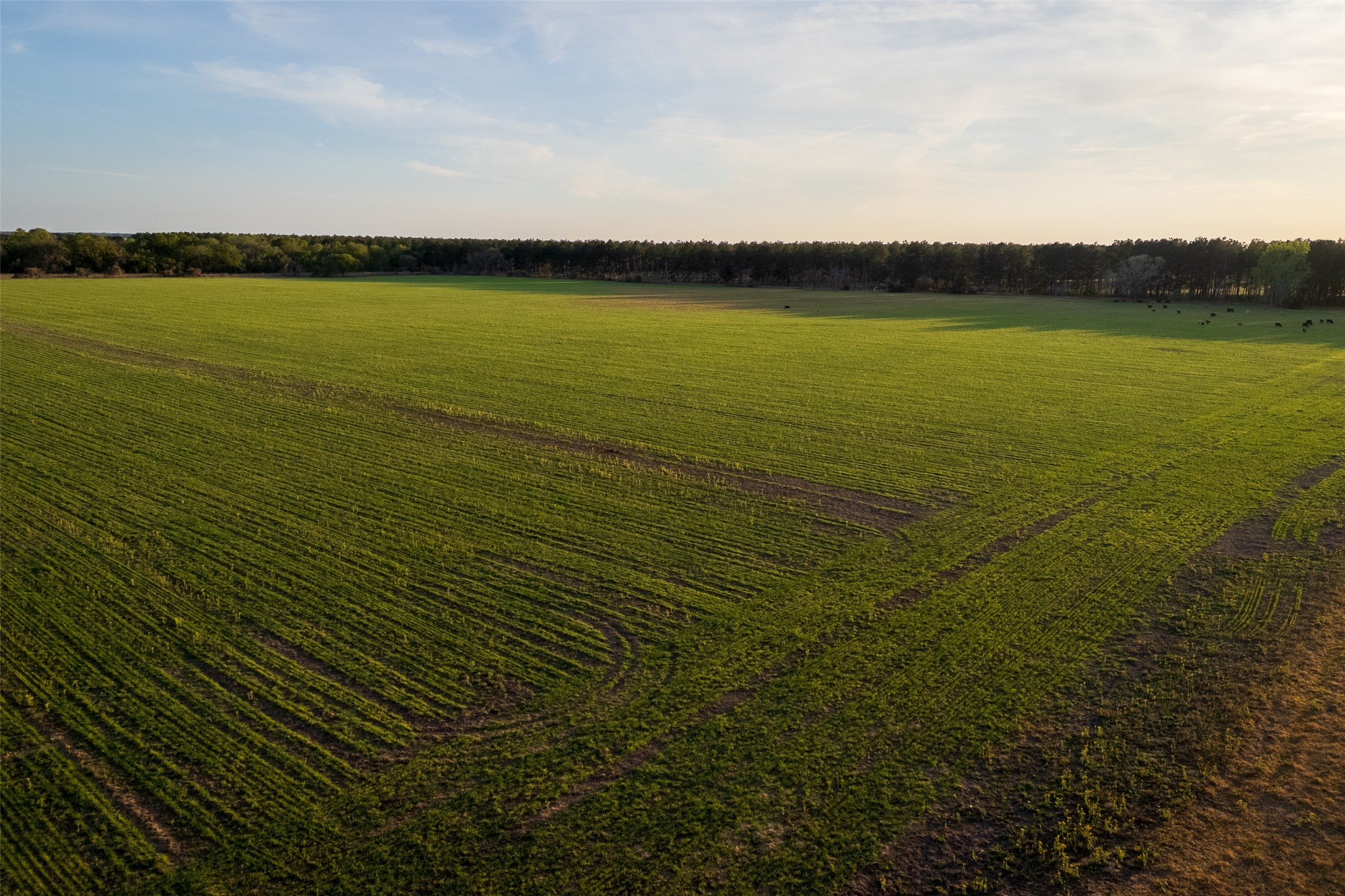 00 County Road 117 Elkhart TX 75839
