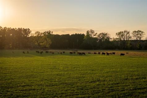 00 County Road 117 Elkhart TX 75839