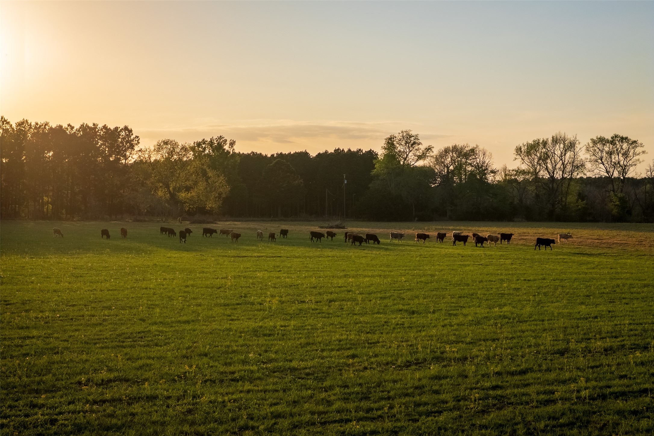 00 County Road 117 Elkhart TX 75839