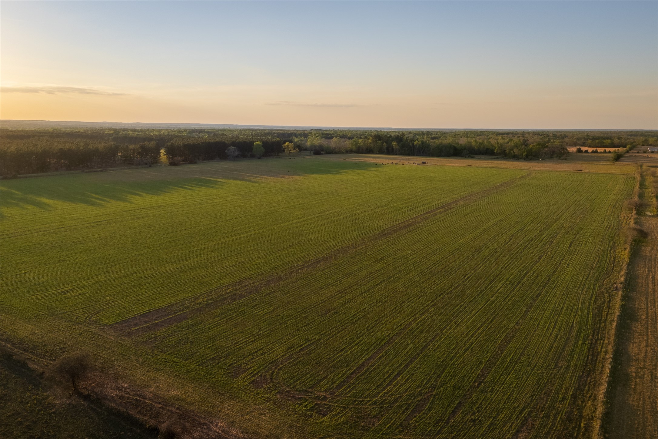 00 County Road 117 Elkhart TX 75839