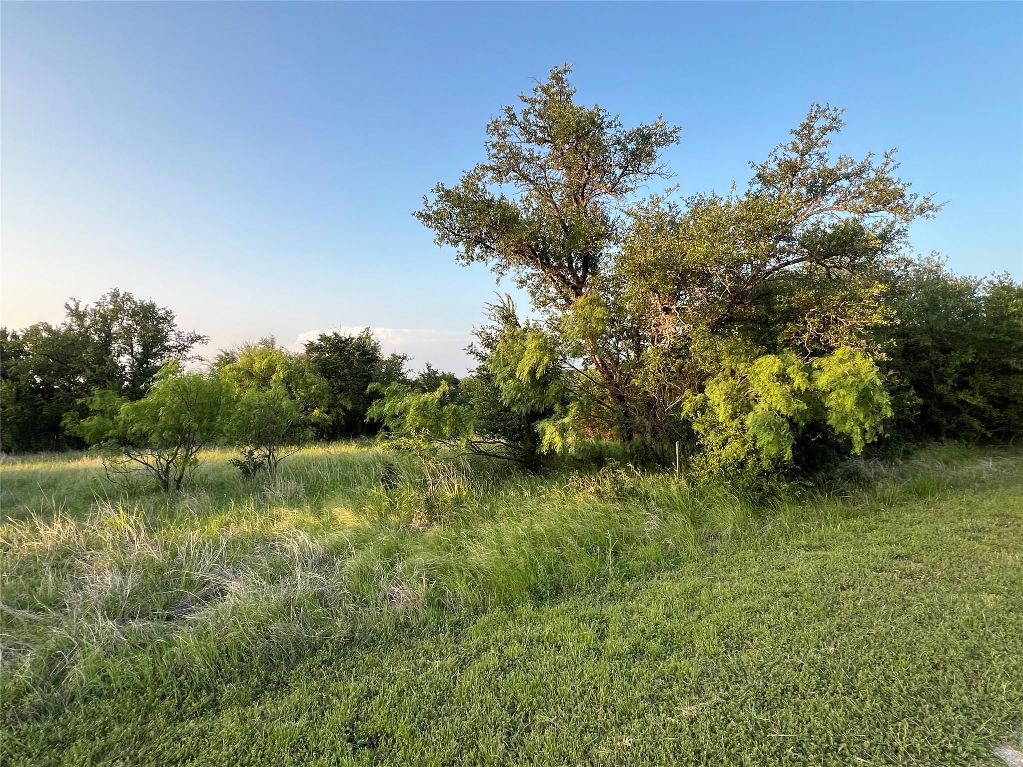 1100 Spyglass Drive Graford TX 76449
