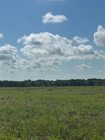 Tract 2 County Road 3430 Honey Grove TX 75446