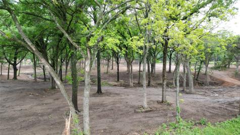410-W Arkansas Road Sadler TX 76264