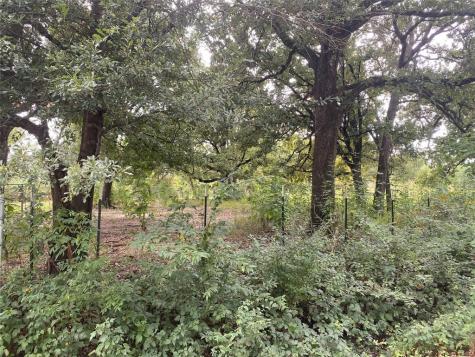 TBD LOT 3 Goldwater Kemp TX 75143