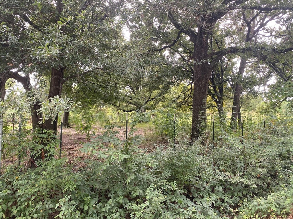 Tbd Lot 3 Goldwater Kemp TX 75143