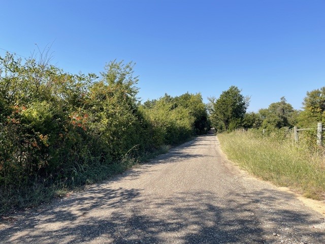 Tbd Cr 520 Fairfield TX 75840