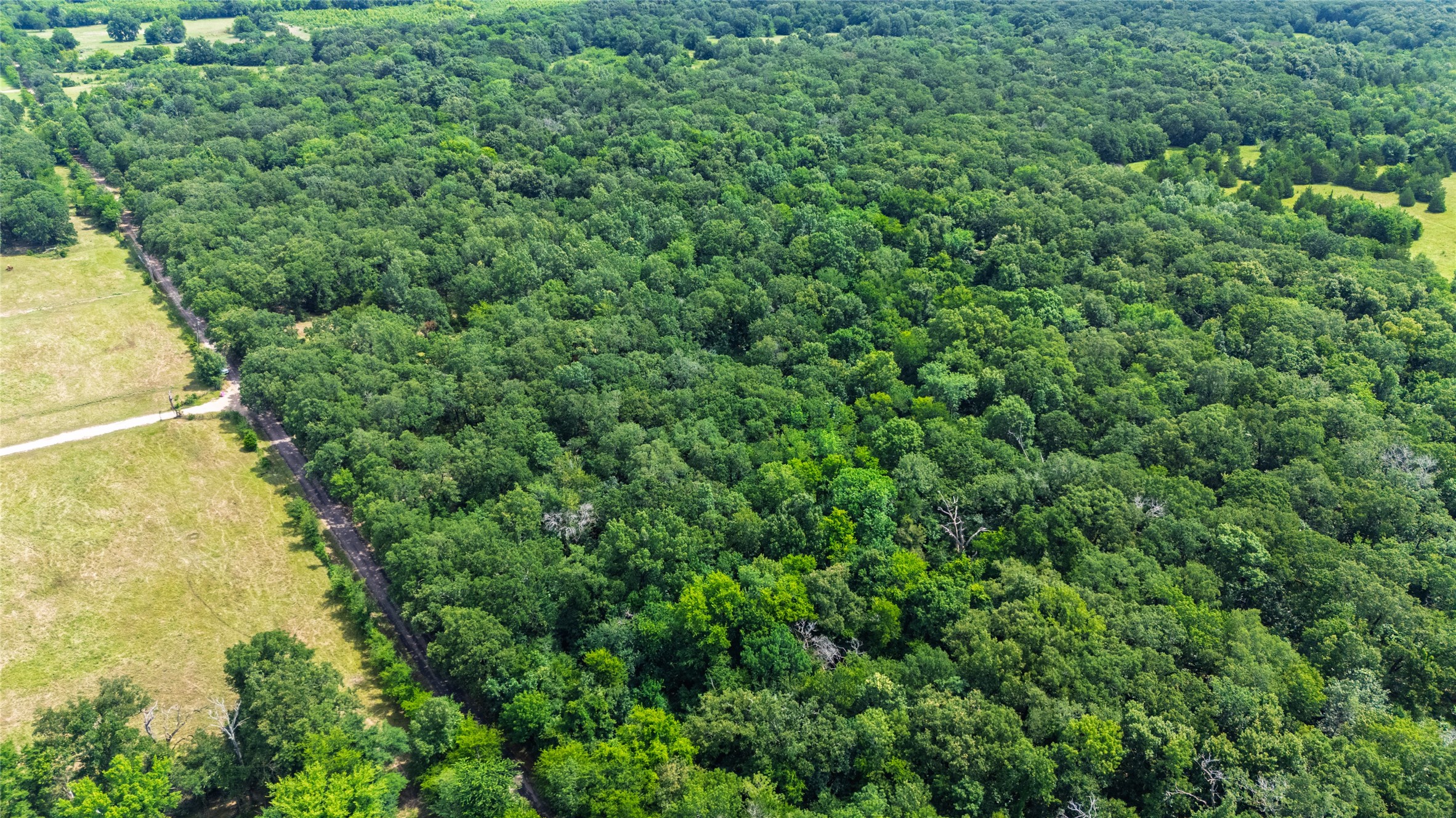 604 County Road 3561 Dike TX 75437