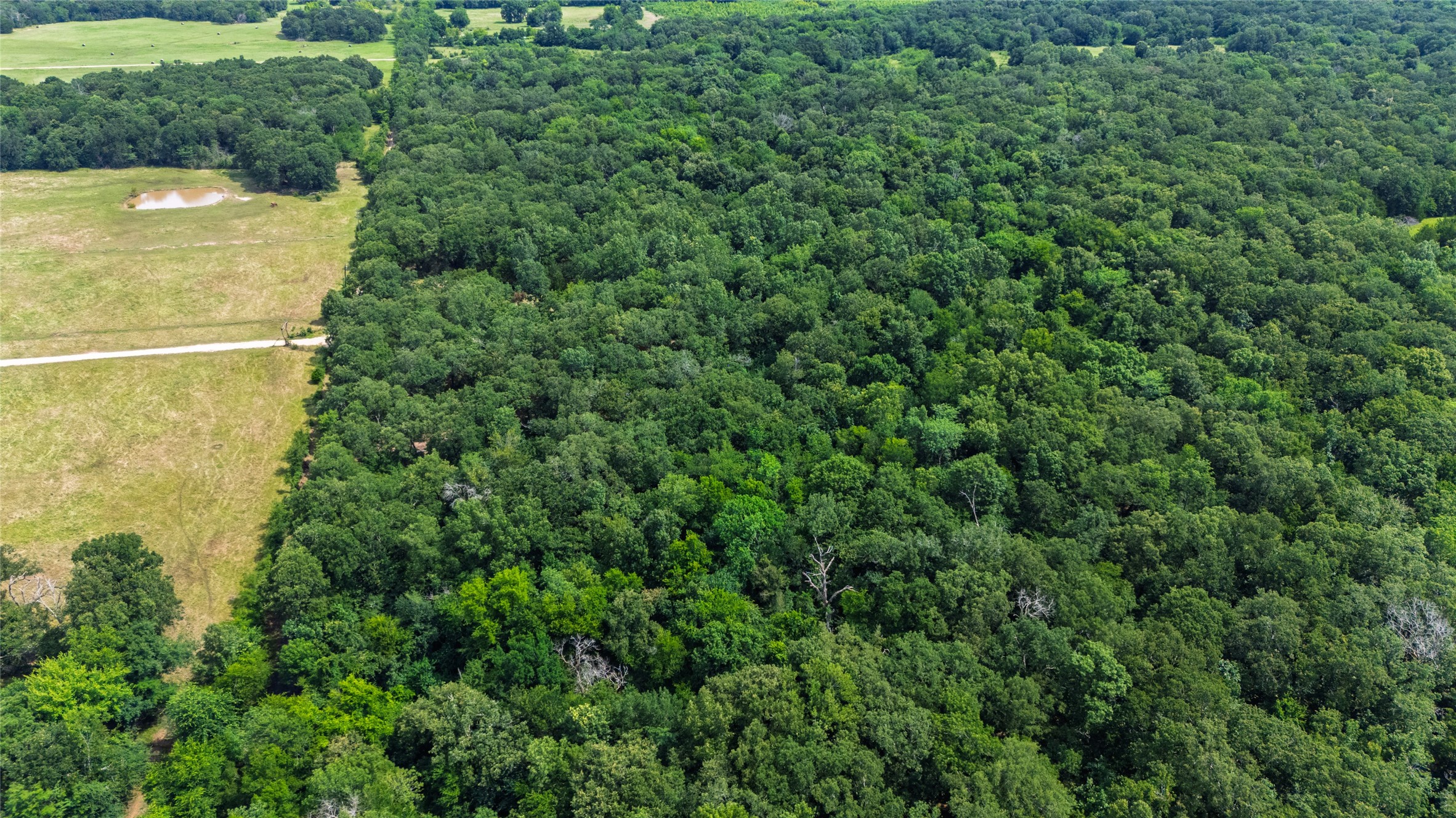 604 County Road 3561 Dike TX 75437