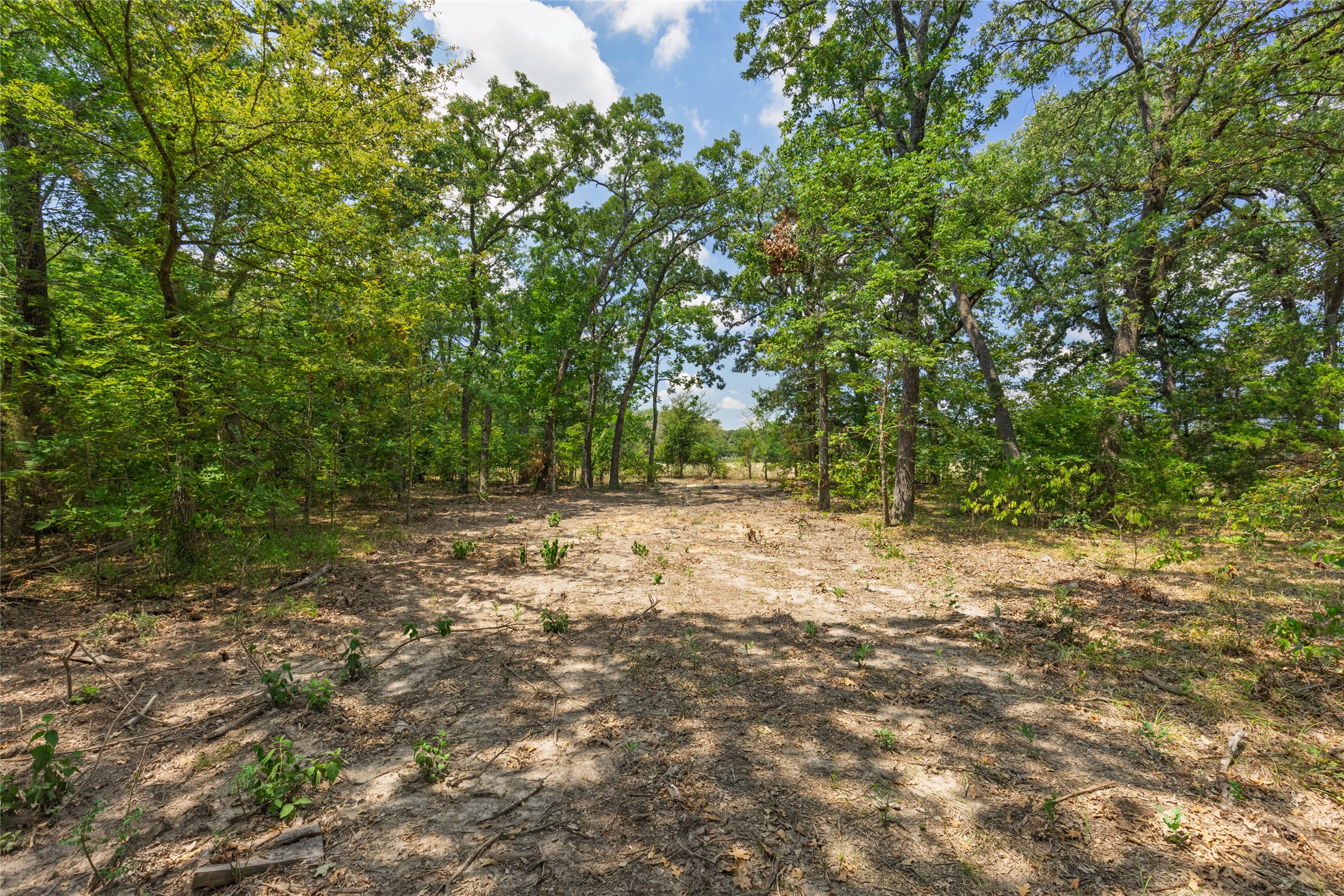 604 County Road 3561 Dike TX 75437