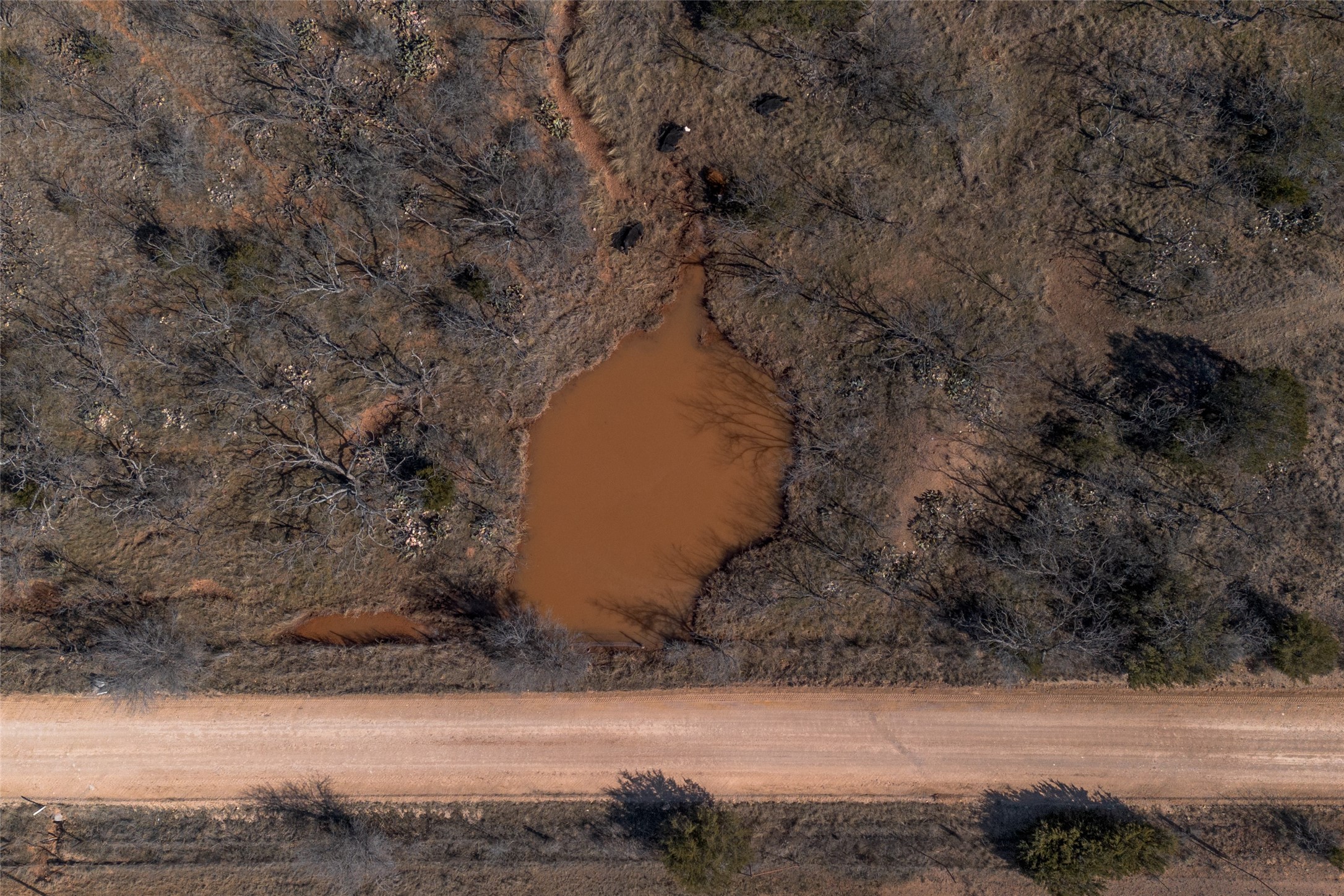 T3 County Road 175 Winters TX 79567