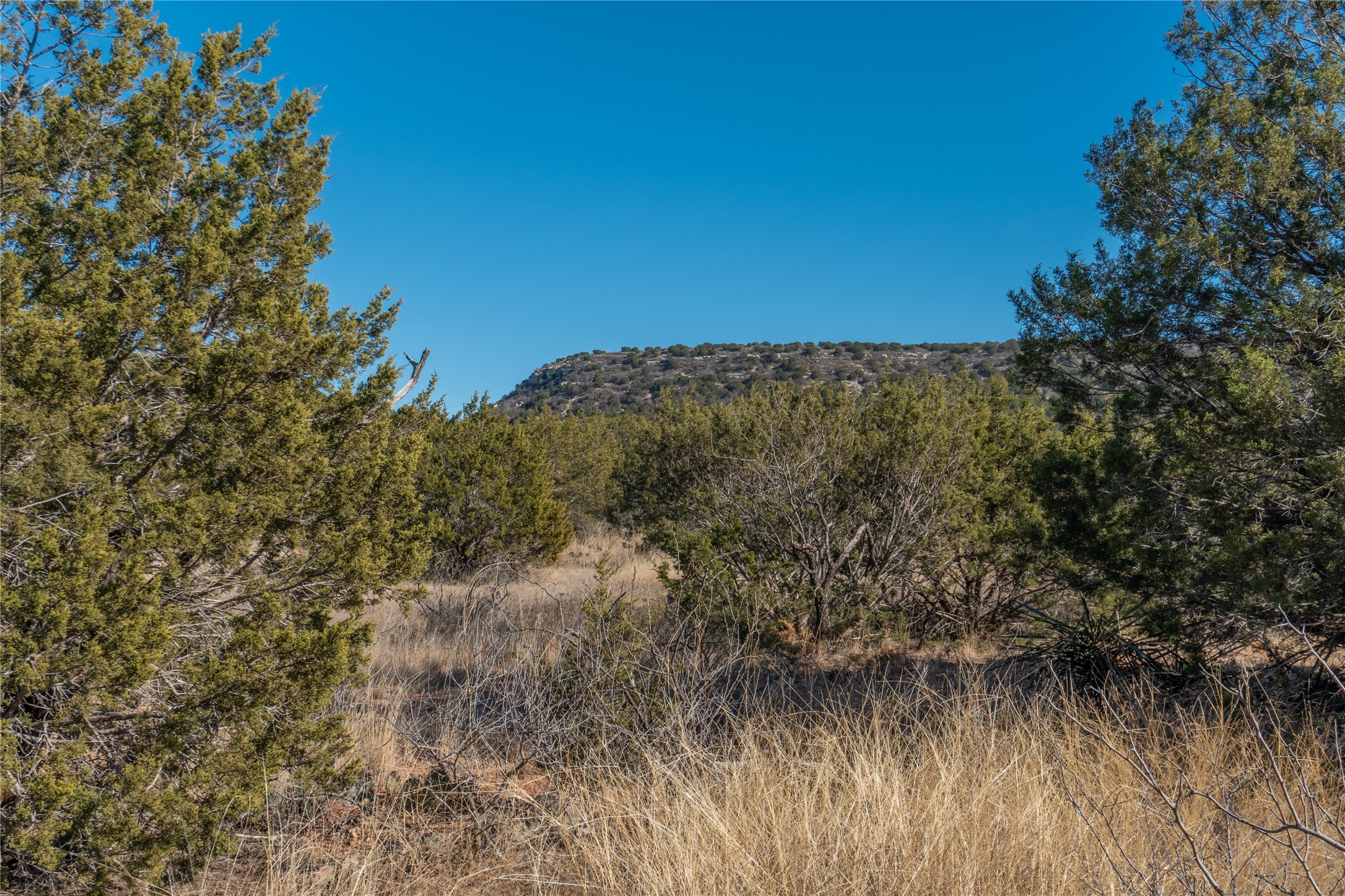T3 County Road 175 Winters TX 79567
