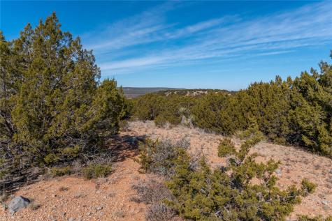 T3 County Road 175 Winters TX 79567