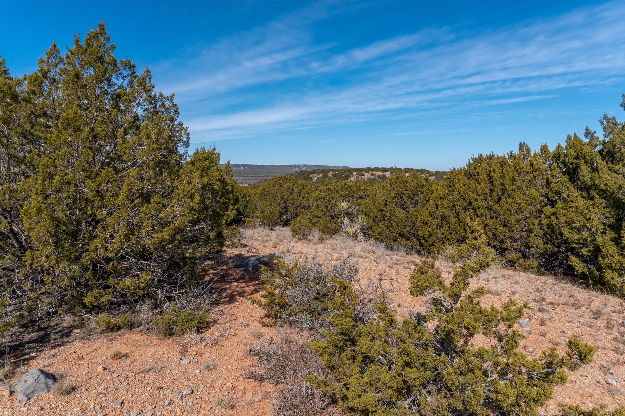 T3 County Road 175 Winters TX 79567