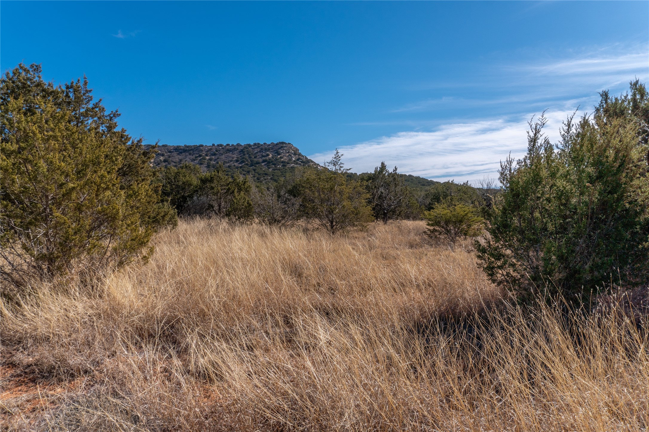 T3 County Road 175 Winters TX 79567