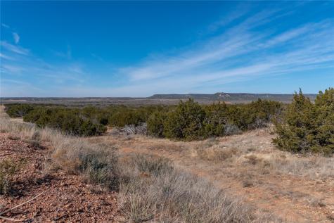 T3 County Road 175 Winters TX 79567