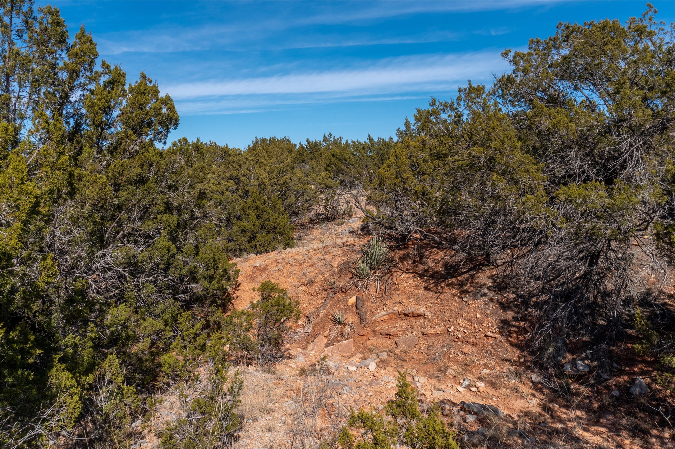 T3 County Road 175 Winters TX 79567