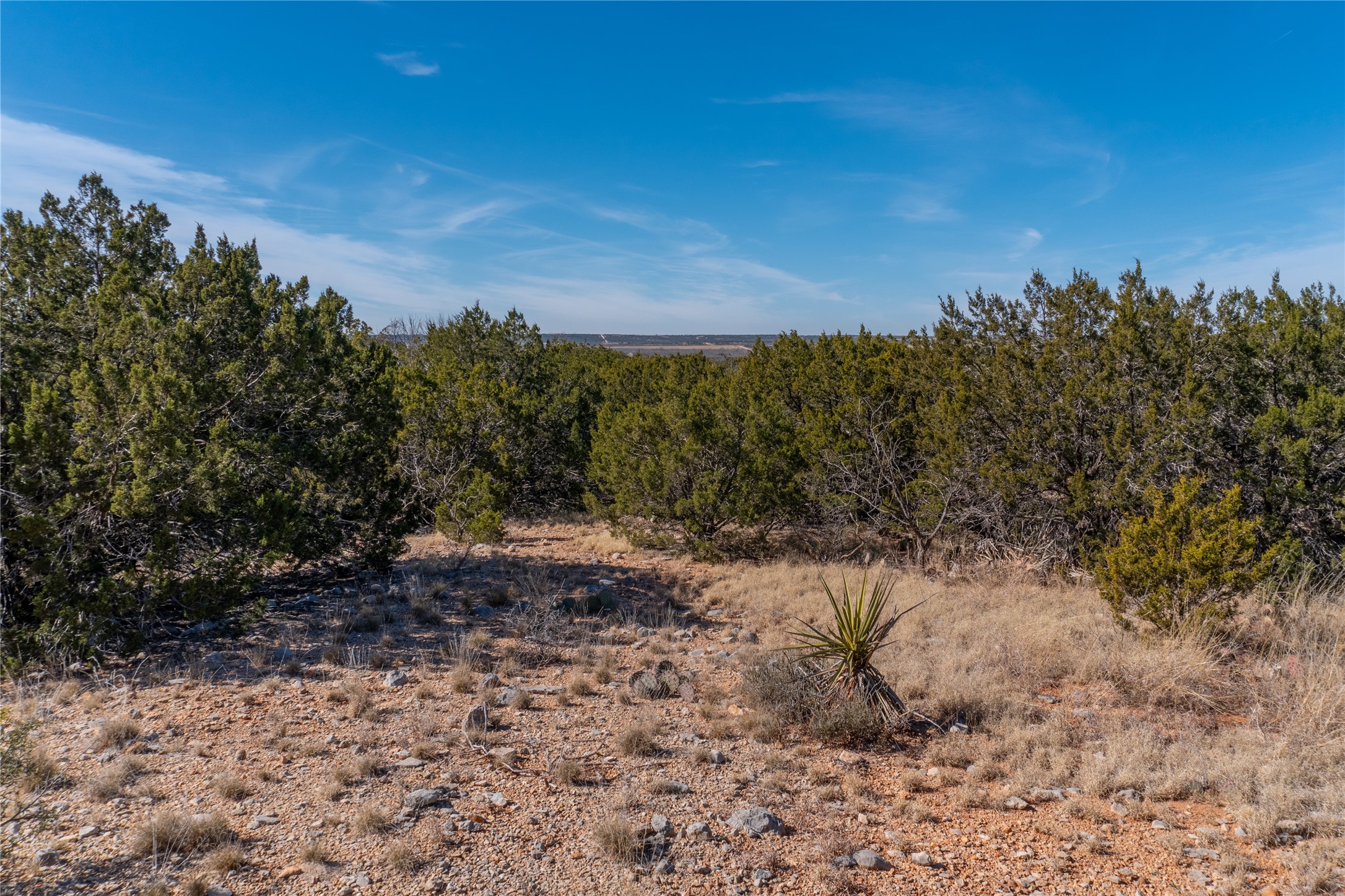 T3 County Road 175 Winters TX 79567