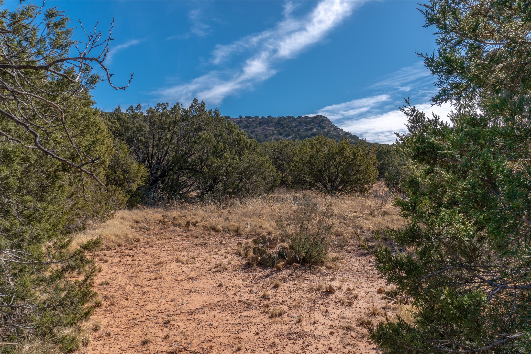 T3 County Road 175 Winters TX 79567