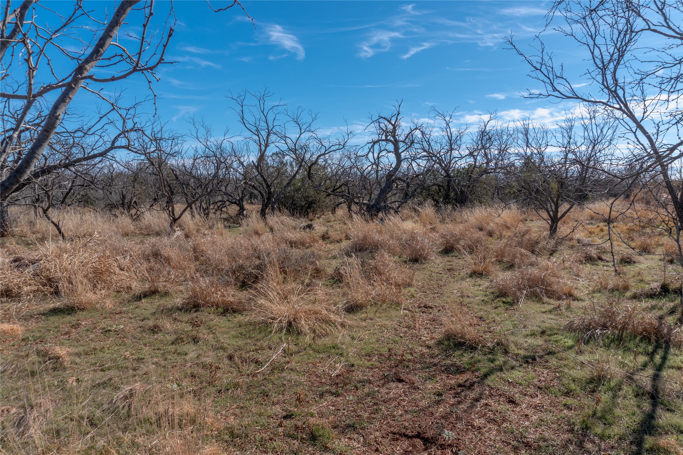 T3 County Road 175 Winters TX 79567