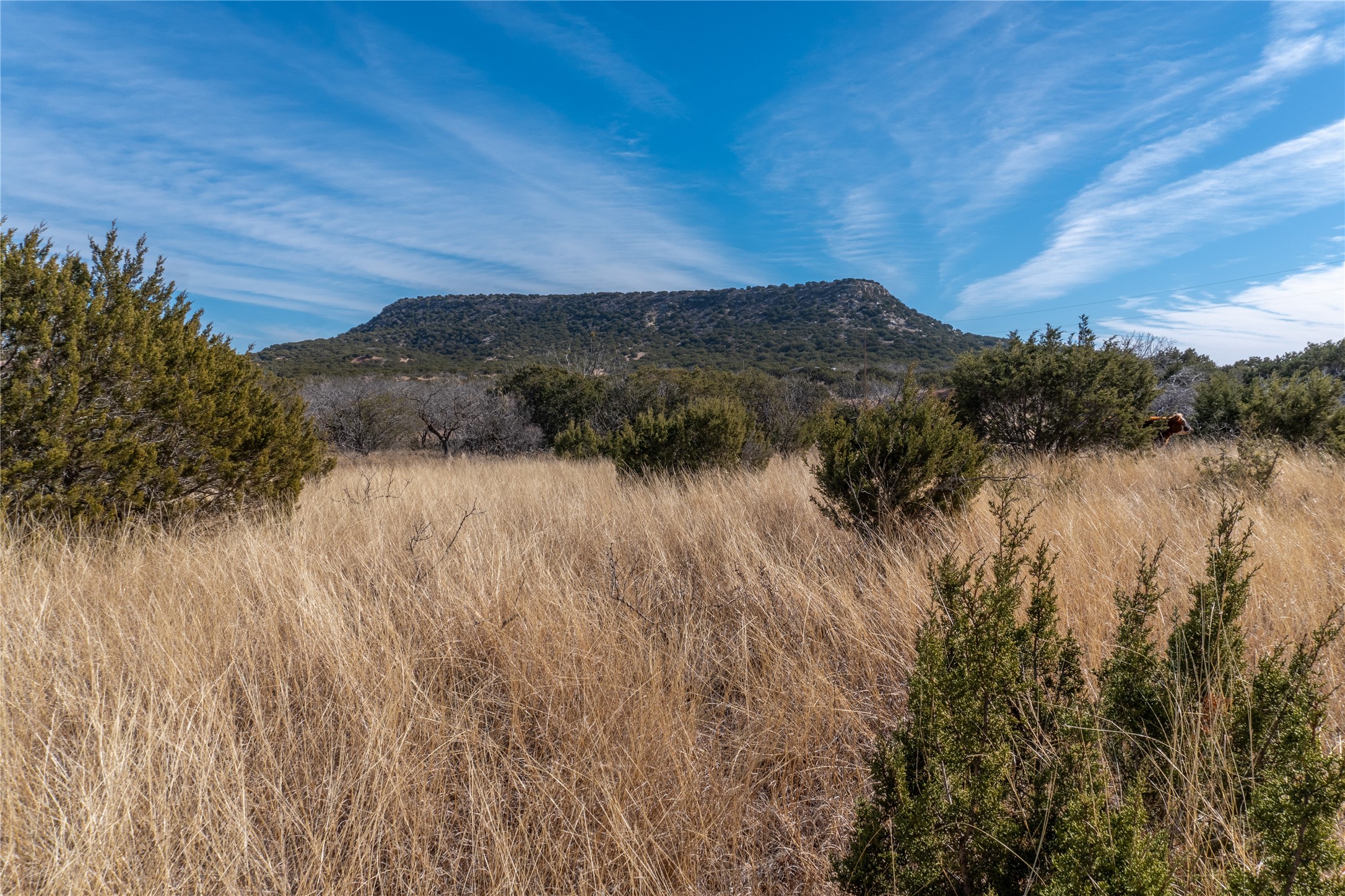 T3 County Road 175 Winters TX 79567