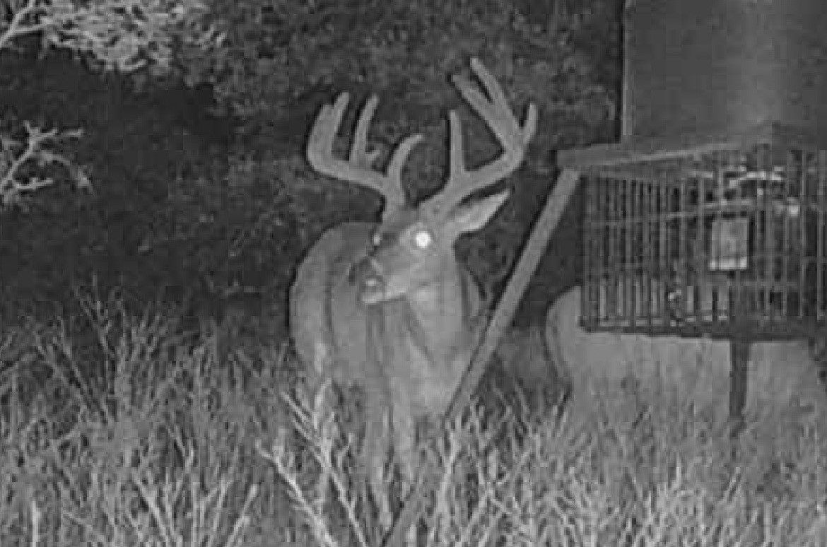 Weatherford TX 76088
