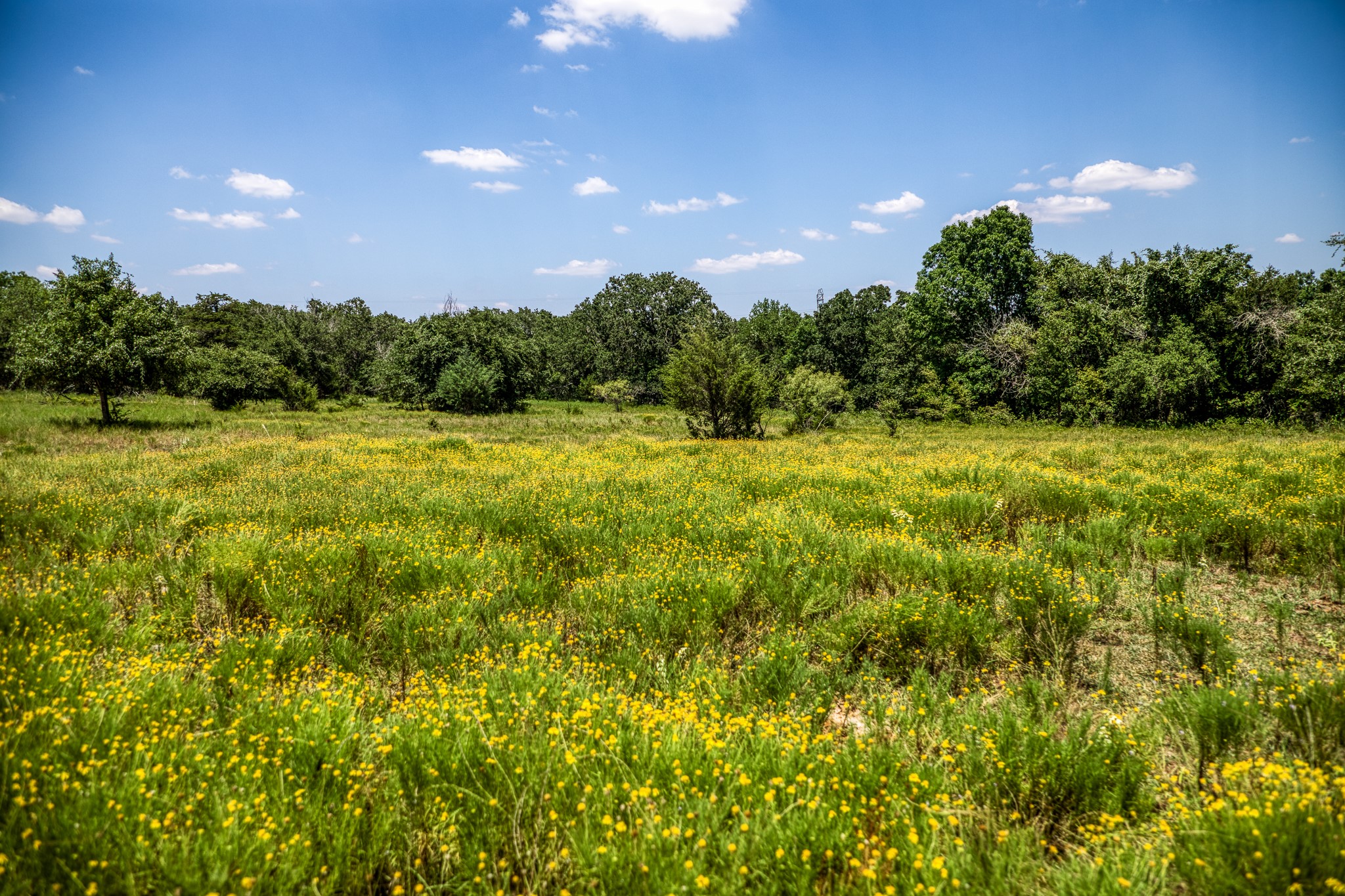 Weatherford TX 76088